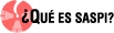 &iquest;Qu&eacute; es SASPI?